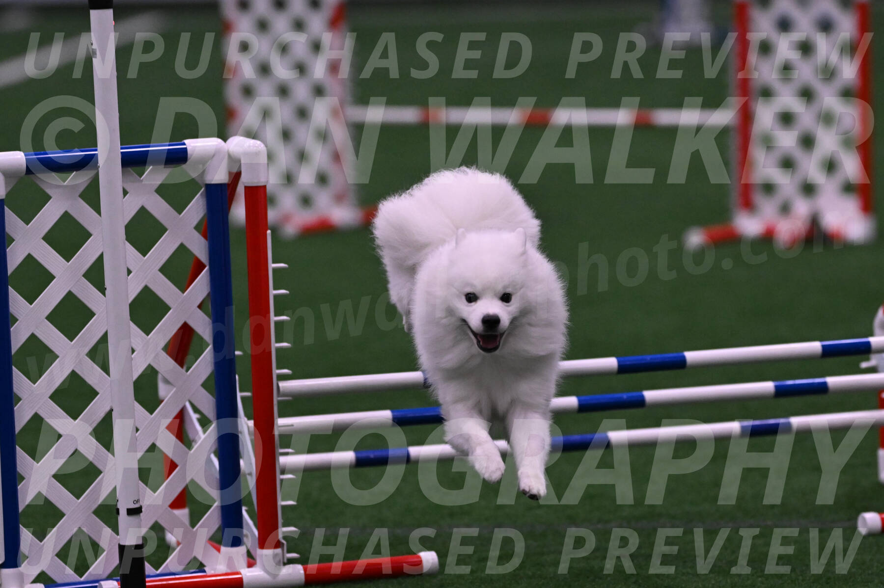 Yeti-Glenn-Rawsky-01367