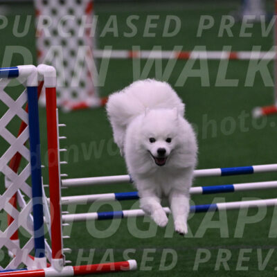 Yeti-Glenn-Rawsky-01367