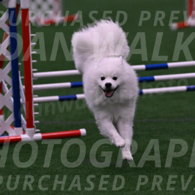 Yeti-Glenn-Rawsky-01368
