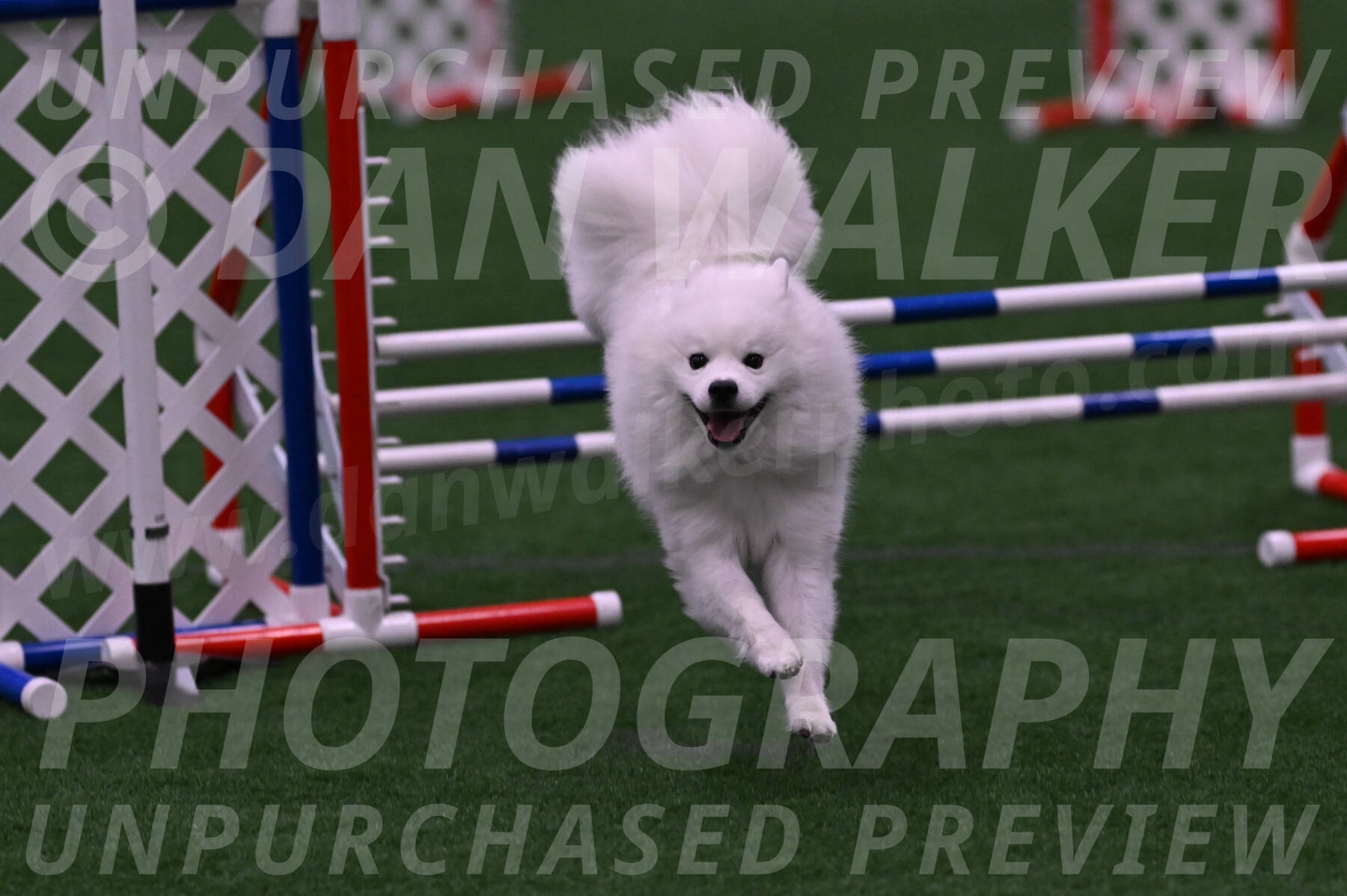 Yeti-Glenn-Rawsky-01368