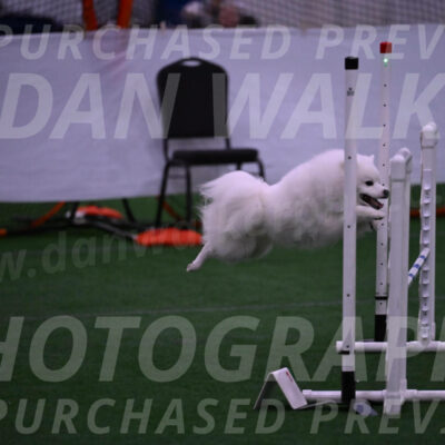 Yeti-Glenn-Rawsky-01369