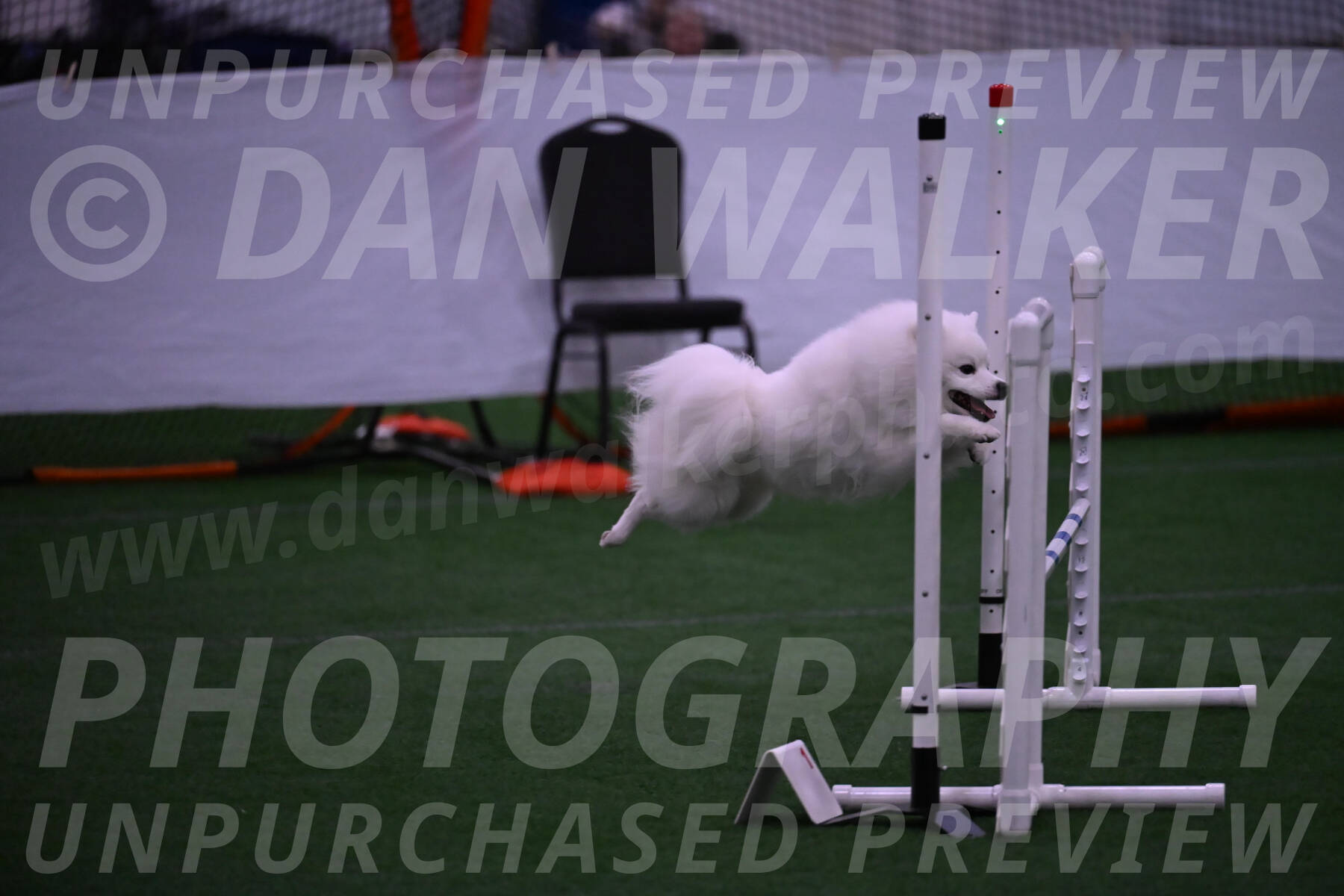 Yeti-Glenn-Rawsky-01369