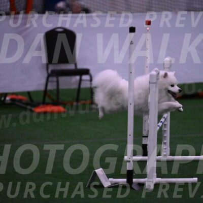Yeti-Glenn-Rawsky-01370