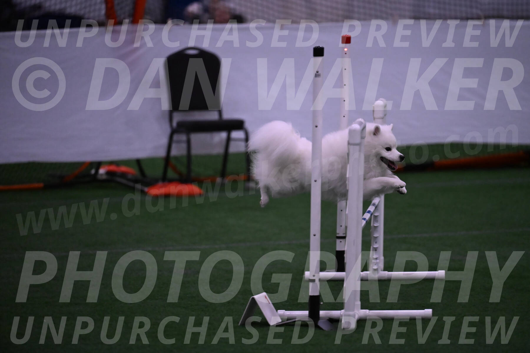 Yeti-Glenn-Rawsky-01370
