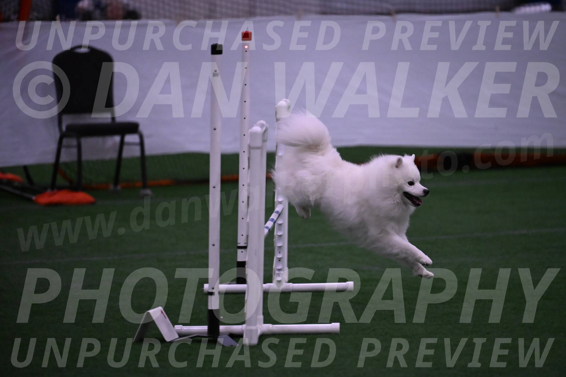Yeti-Glenn-Rawsky-01372