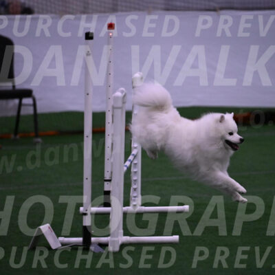 Yeti-Glenn-Rawsky-01372