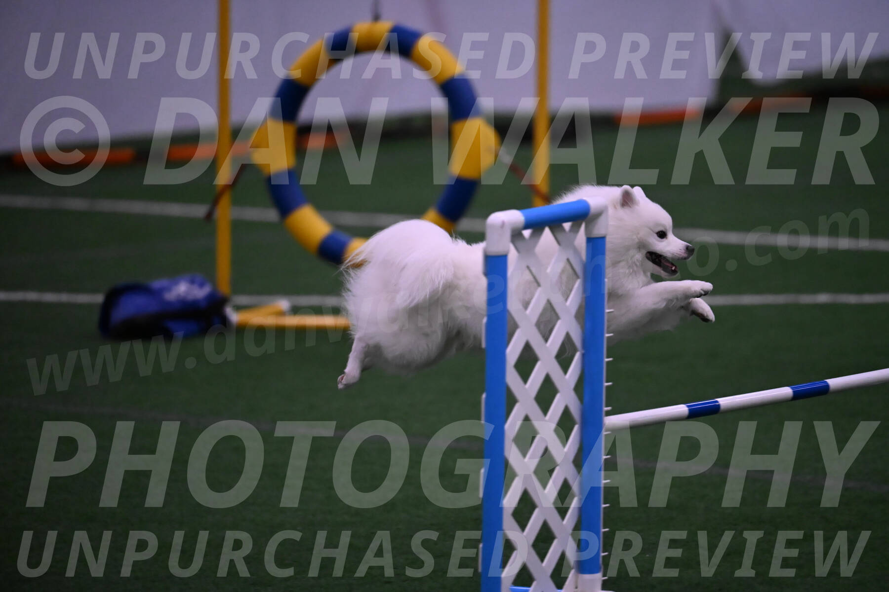 Yeti-Glenn-Rawsky-01374
