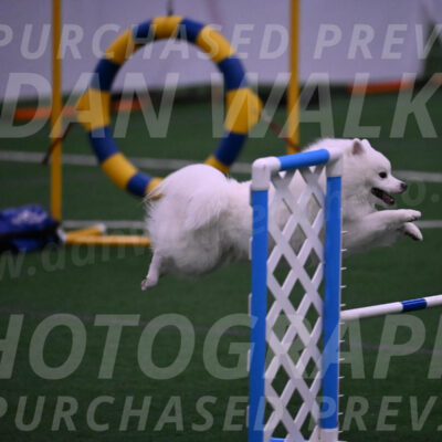 Yeti-Glenn-Rawsky-01374