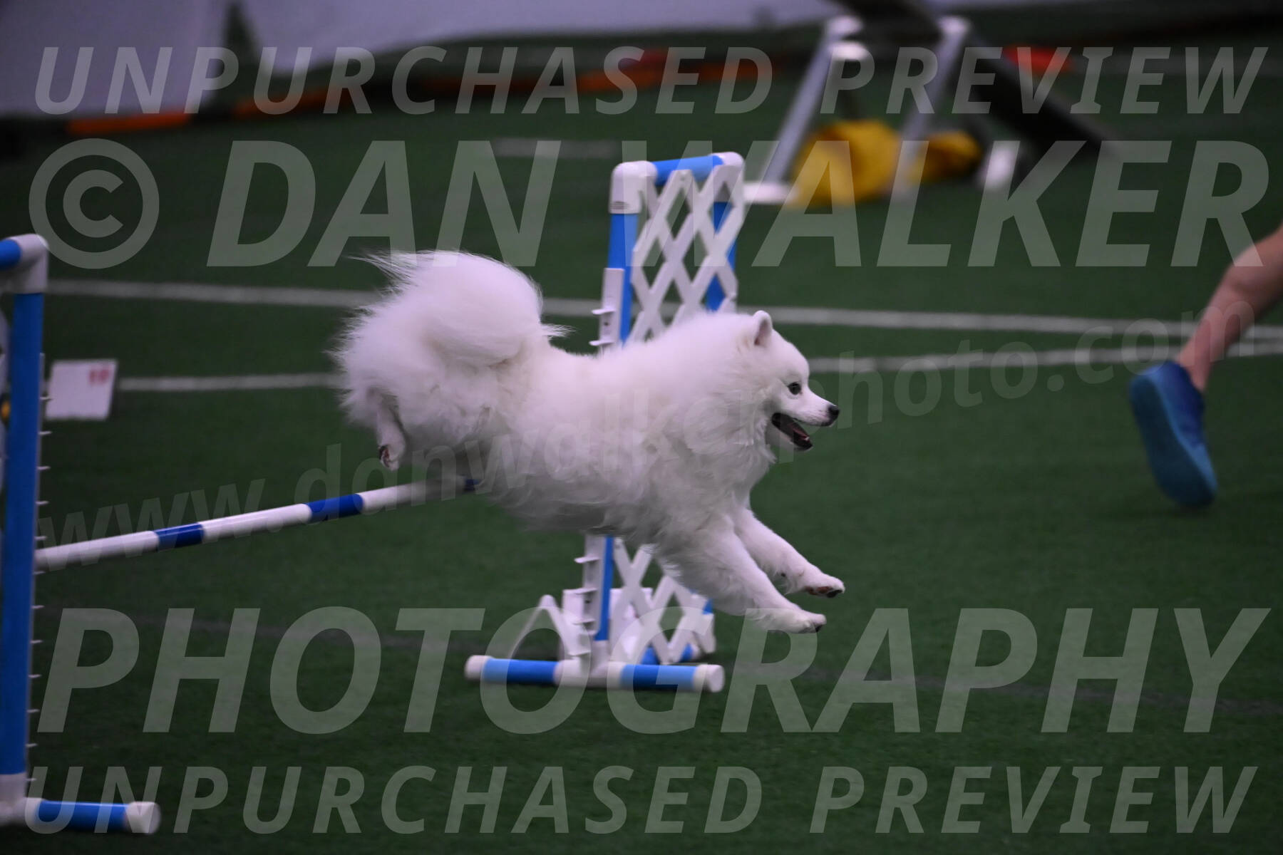 Yeti-Glenn-Rawsky-01377