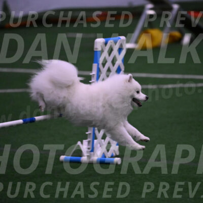 Yeti-Glenn-Rawsky-01377