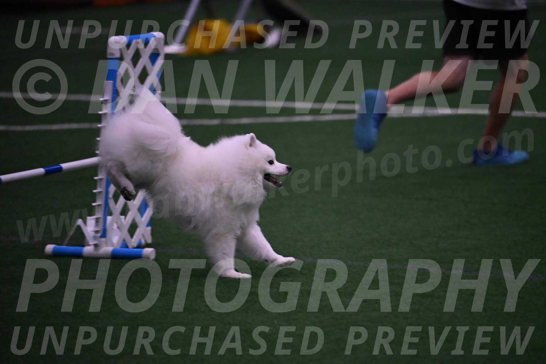 Yeti-Glenn-Rawsky-01378