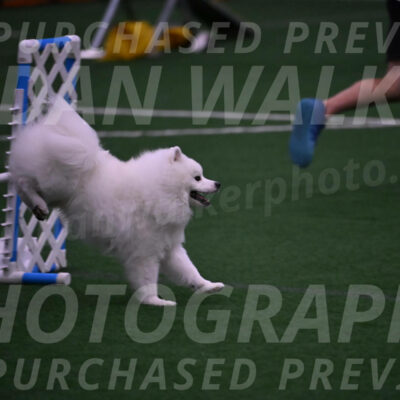 Yeti-Glenn-Rawsky-01378