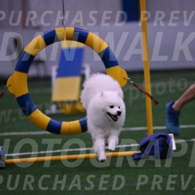 Yeti-Glenn-Rawsky-01384