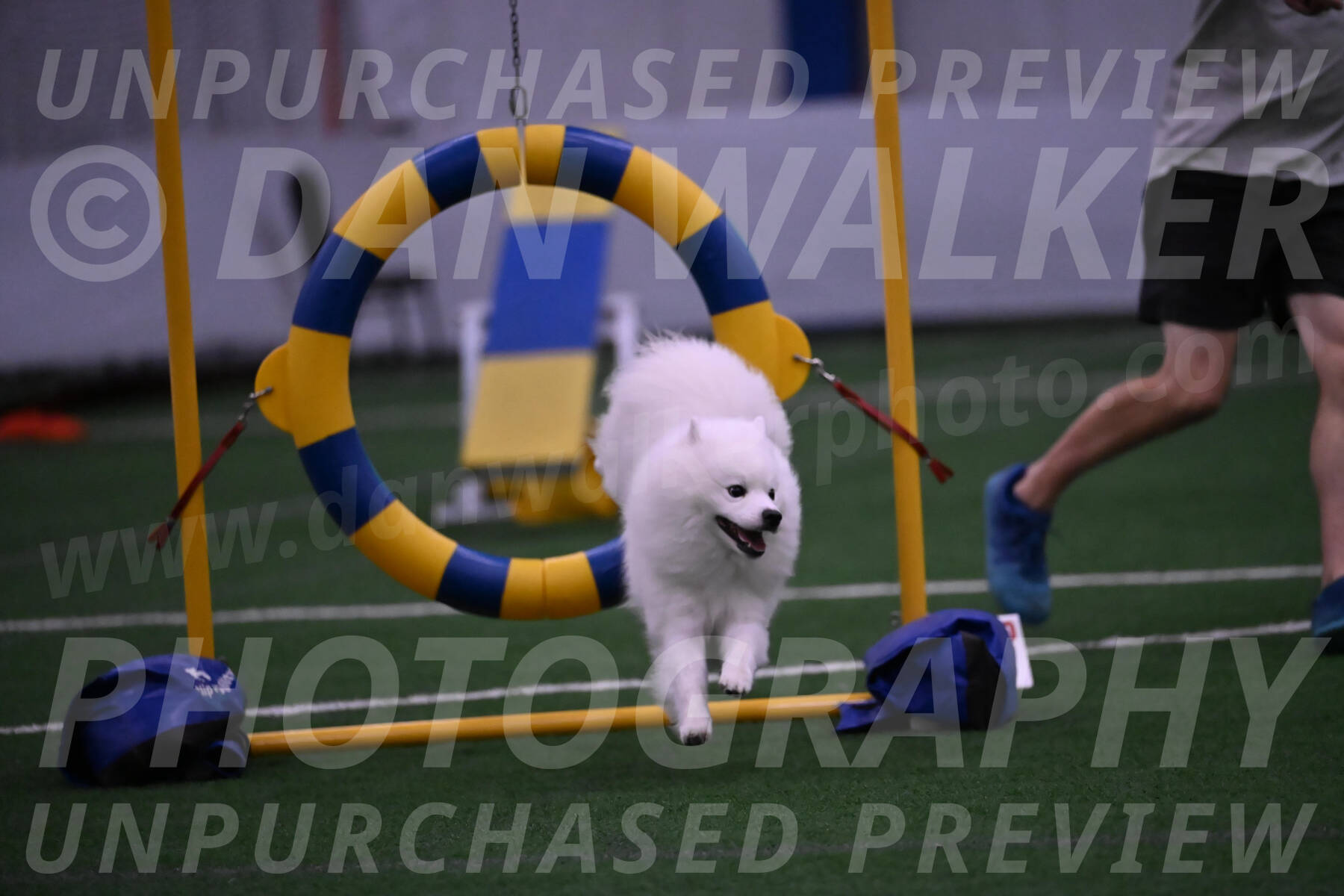 Yeti-Glenn-Rawsky-01384