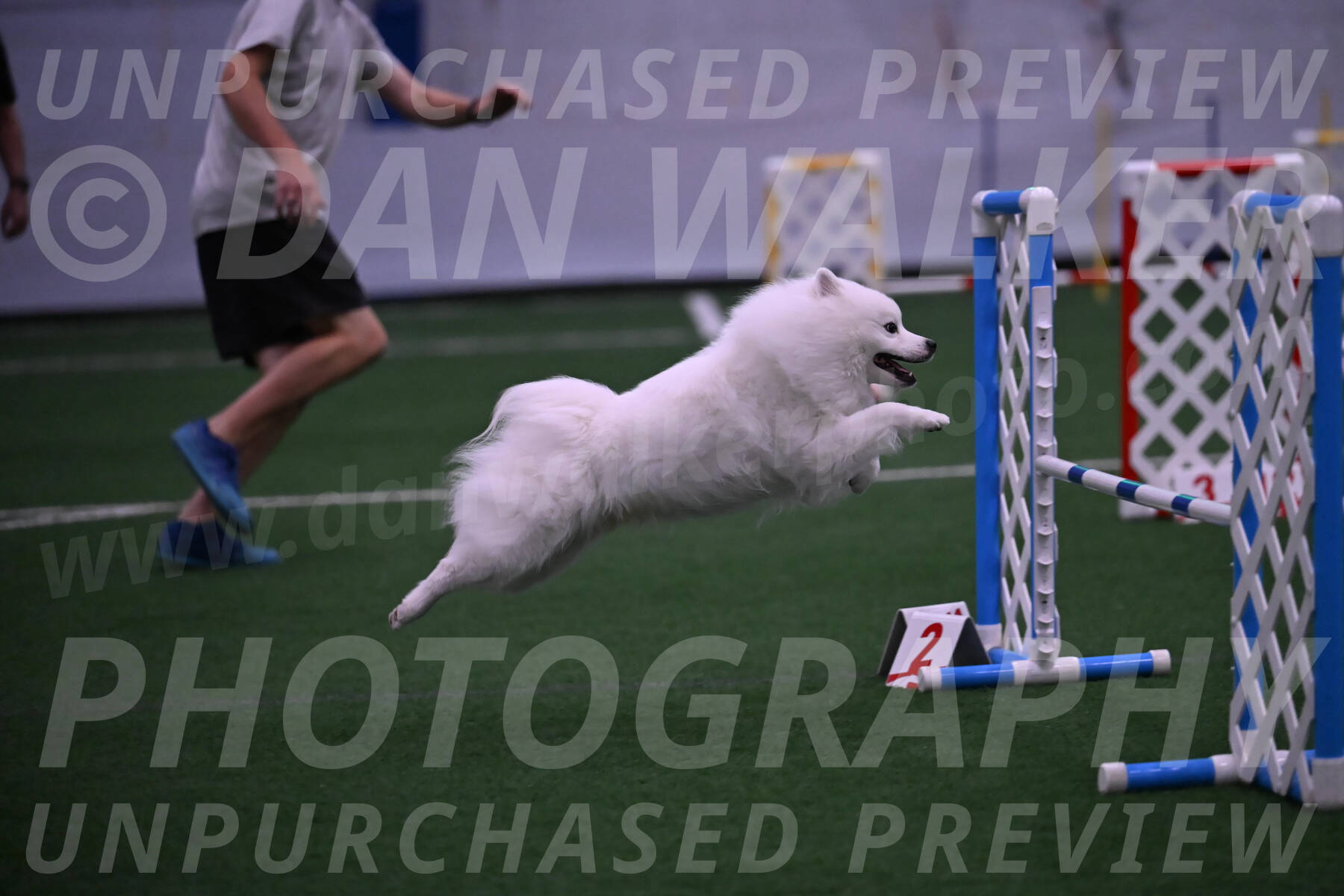 Yeti-Glenn-Rawsky-01385