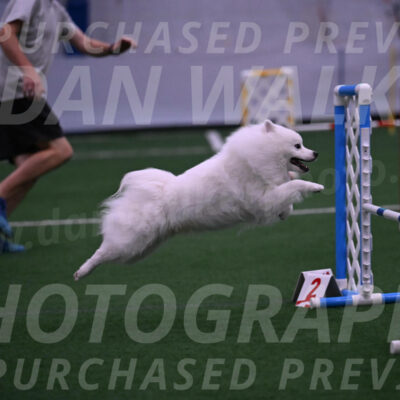 Yeti-Glenn-Rawsky-01385