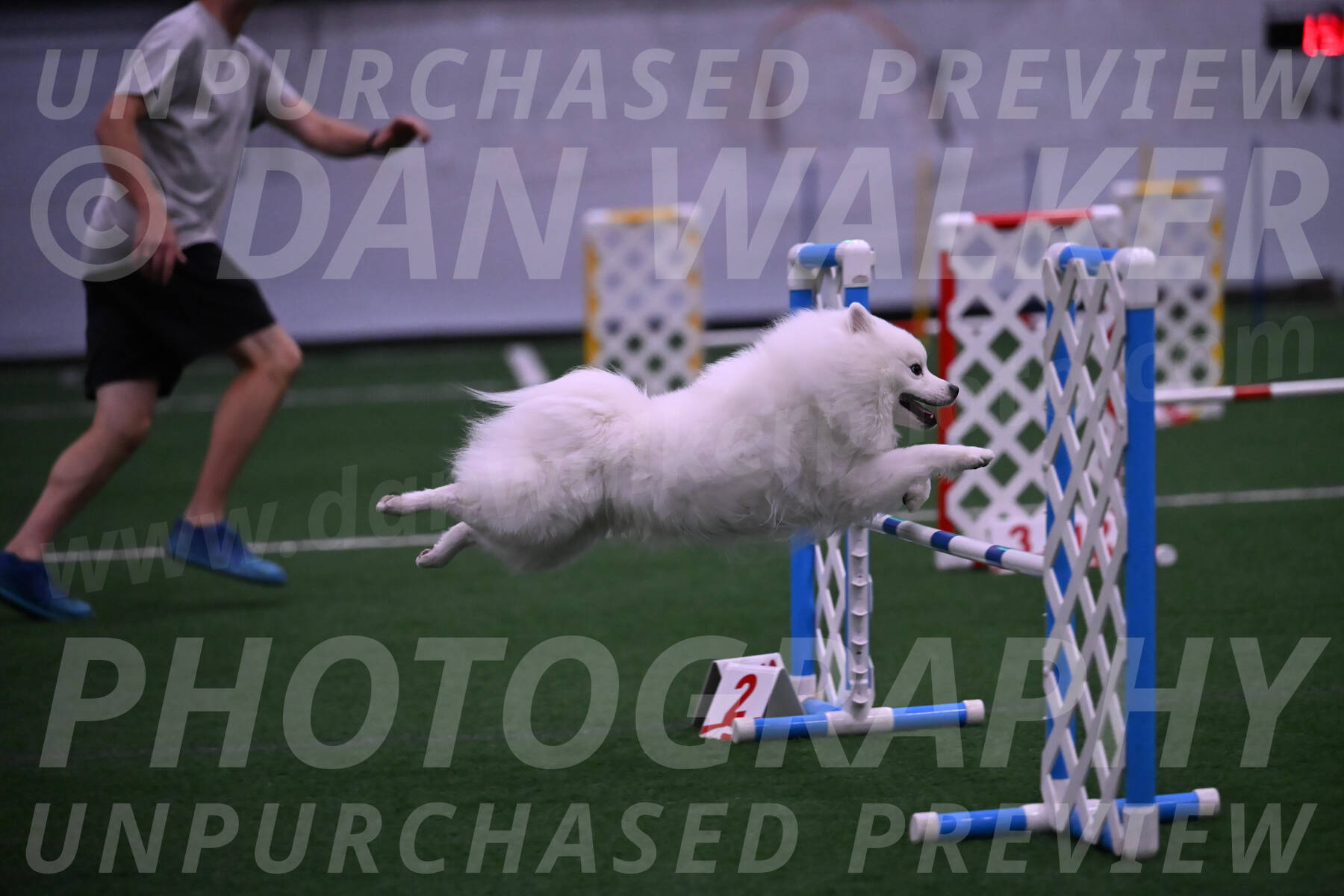 Yeti-Glenn-Rawsky-01386
