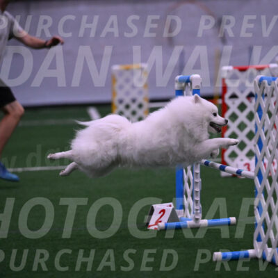 Yeti-Glenn-Rawsky-01386