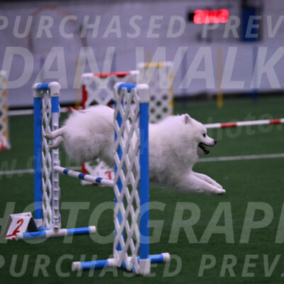 Yeti-Glenn-Rawsky-01388