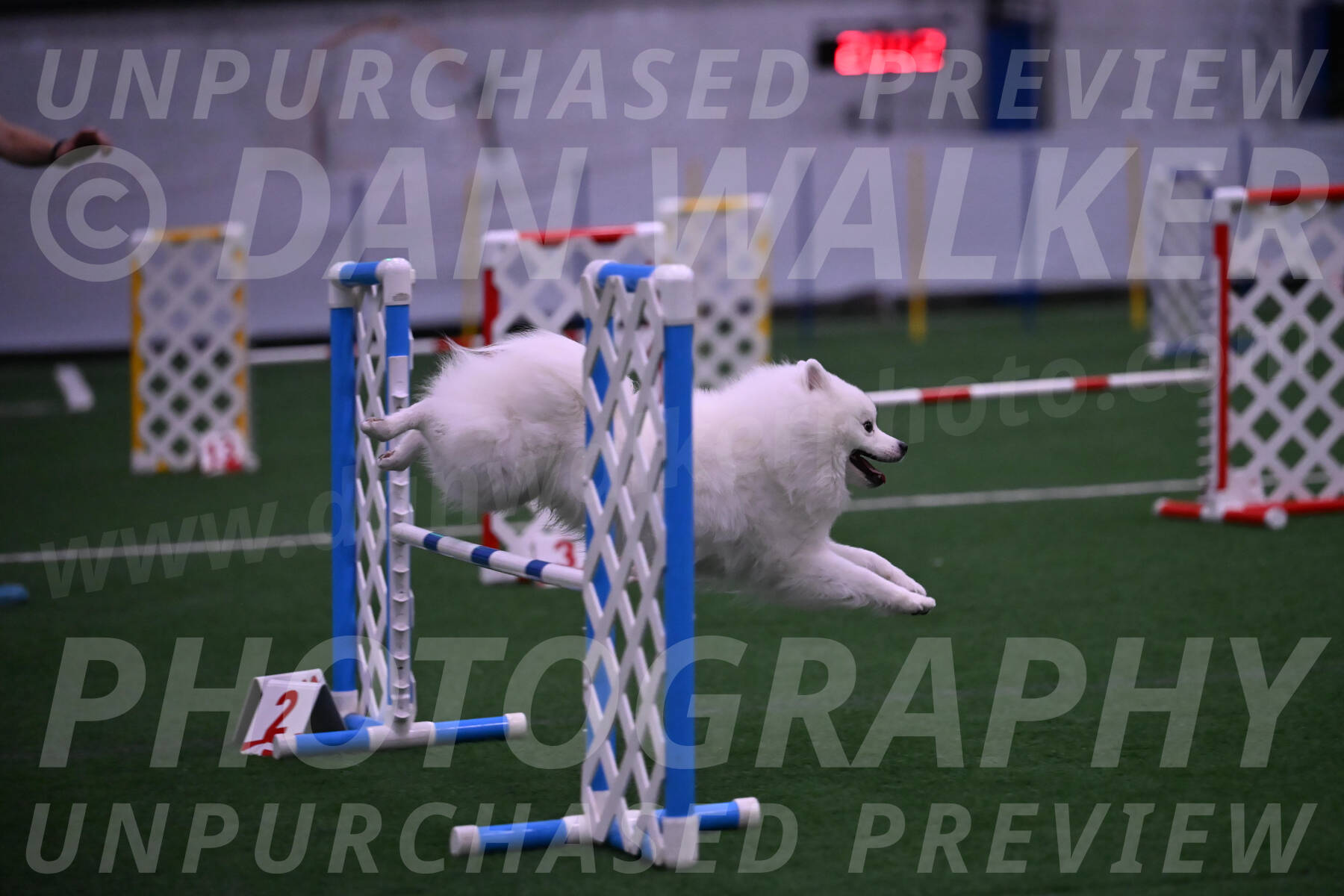 Yeti-Glenn-Rawsky-01388