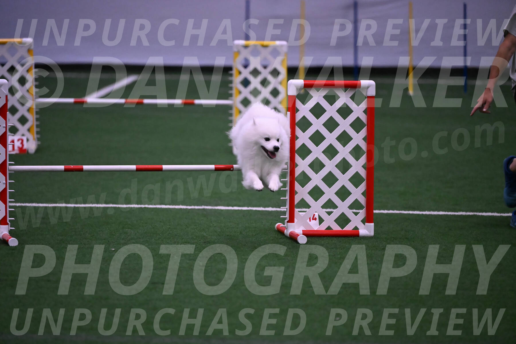 Yeti-Glenn-Rawsky-01391