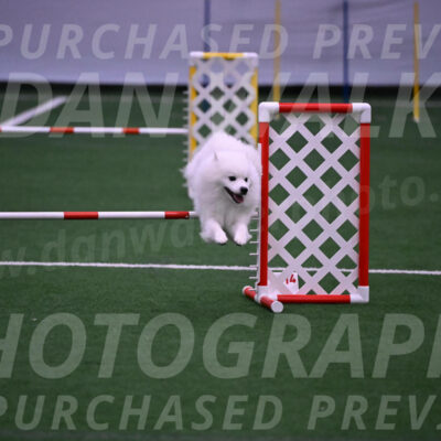 Yeti-Glenn-Rawsky-01391