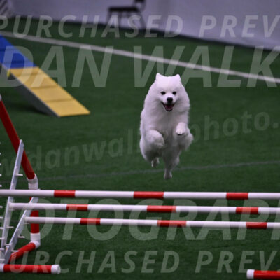 Yeti-Glenn-Rawsky-01396
