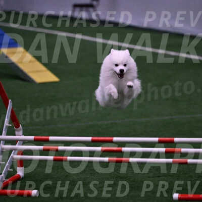 Yeti-Glenn-Rawsky-01397