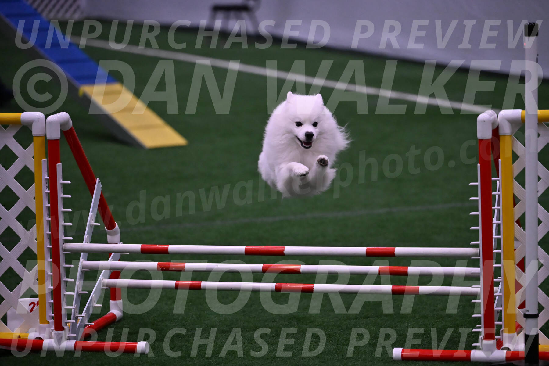 Yeti-Glenn-Rawsky-01398