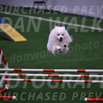 Yeti-Glenn-Rawsky-01398