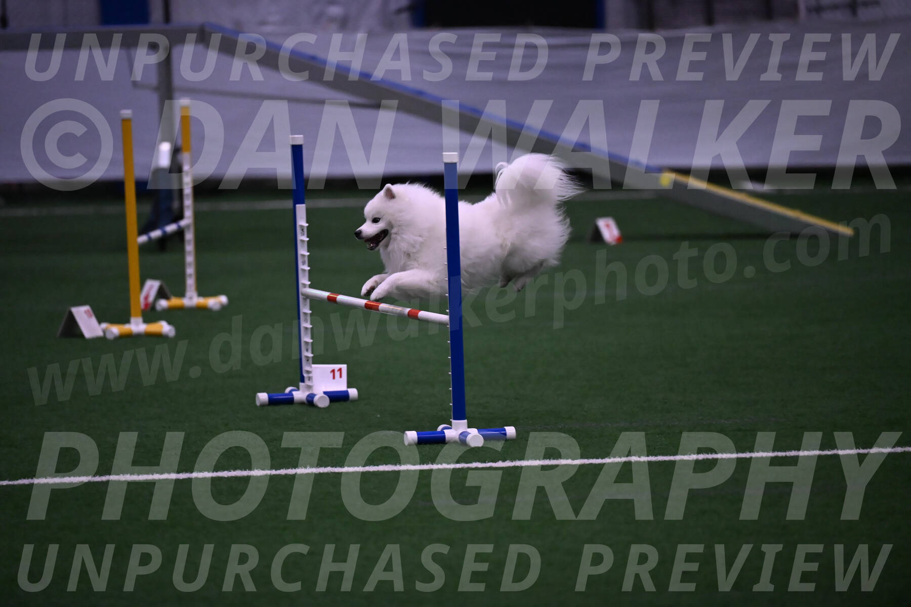 Yeti-Glenn-Rawsky-01401