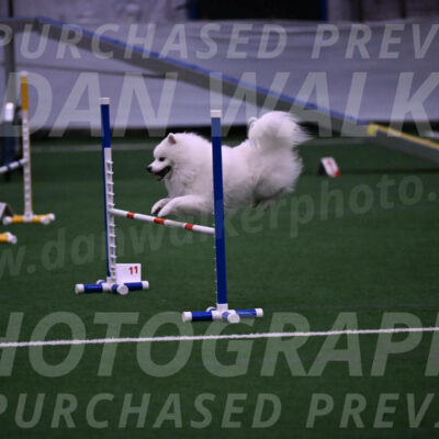 Yeti-Glenn-Rawsky-01401