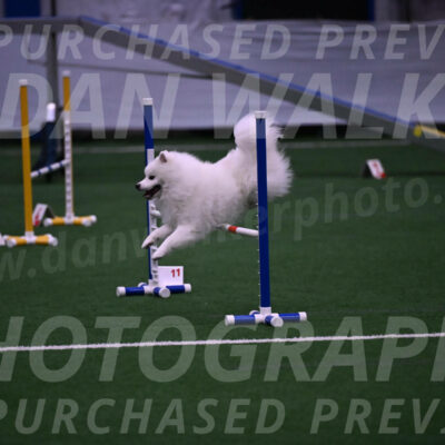 Yeti-Glenn-Rawsky-01402