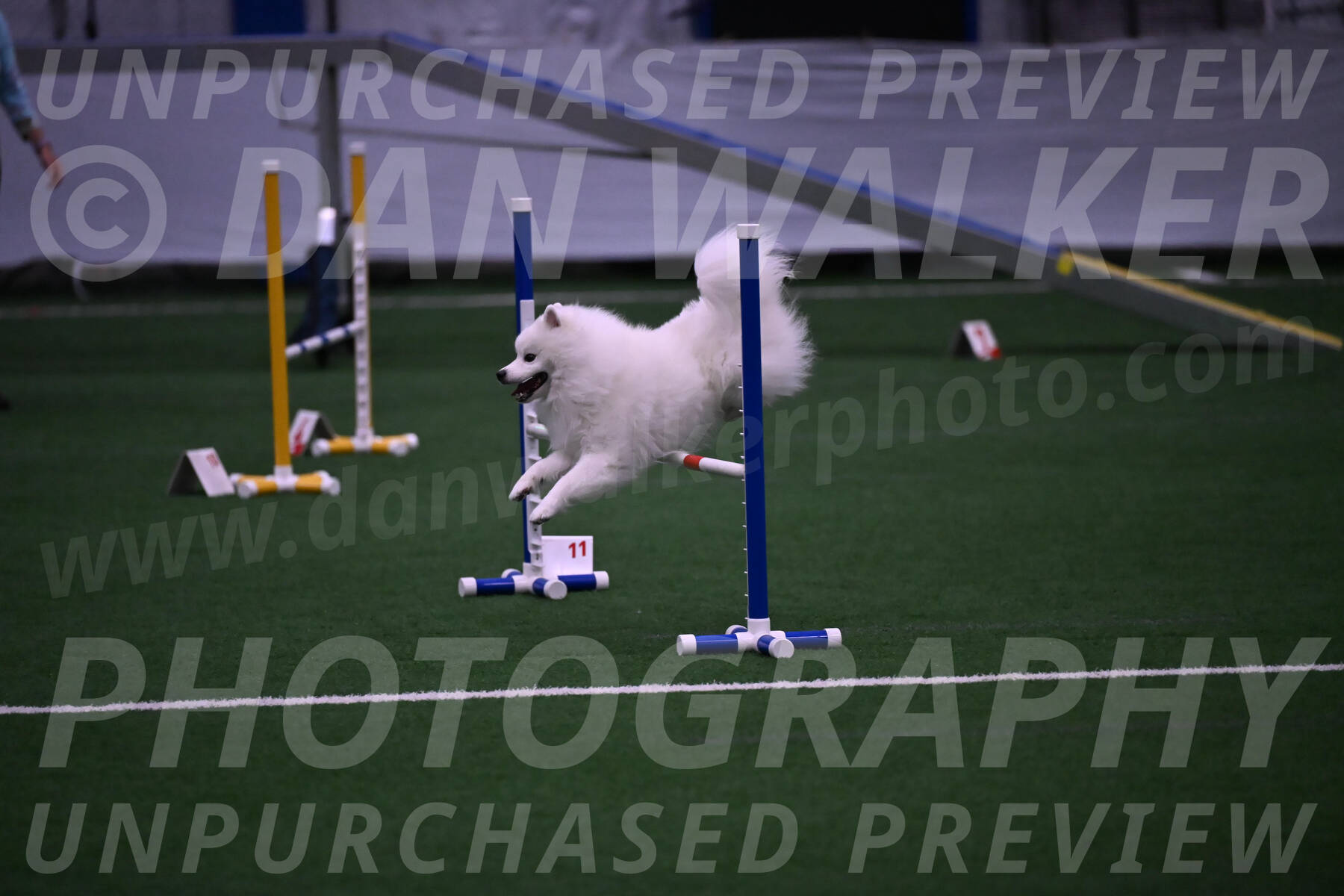 Yeti-Glenn-Rawsky-01402
