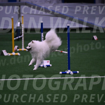 Yeti-Glenn-Rawsky-01403