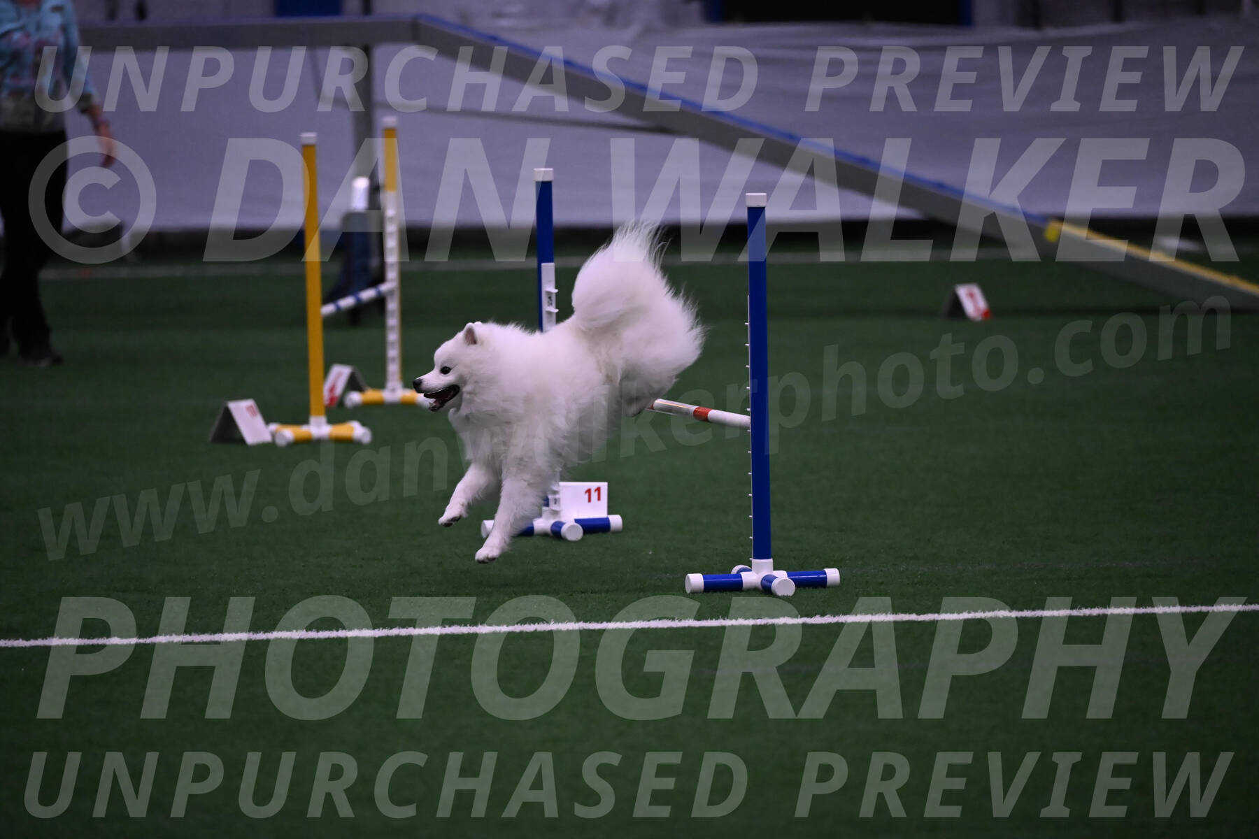 Yeti-Glenn-Rawsky-01403