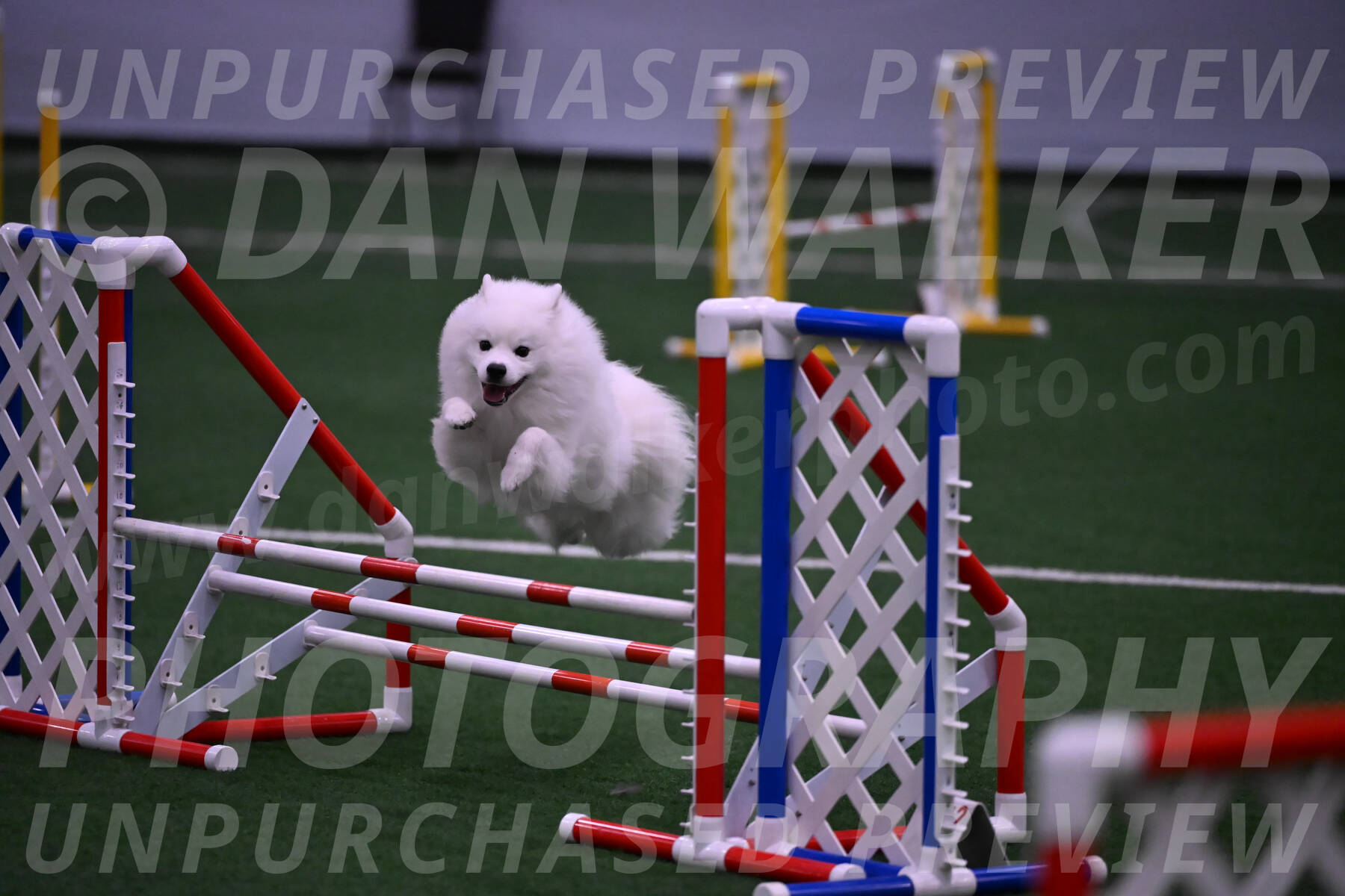 Yeti-Glenn-Rawsky-01407