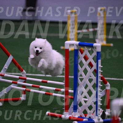 Yeti-Glenn-Rawsky-01407