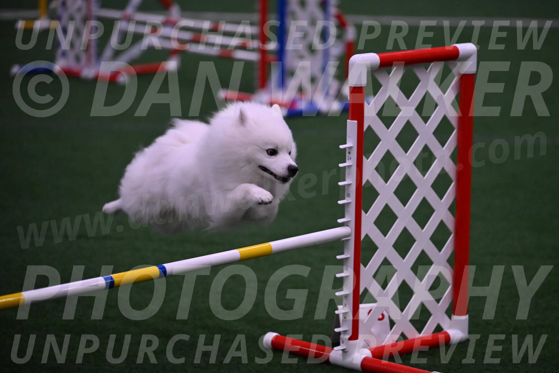 Yeti-Glenn-Rawsky-01414