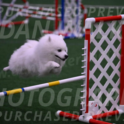 Yeti-Glenn-Rawsky-01414