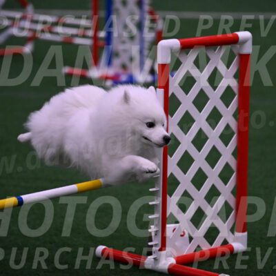 Yeti-Glenn-Rawsky-01415