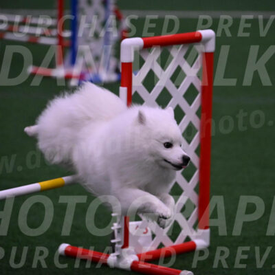 Yeti-Glenn-Rawsky-01416
