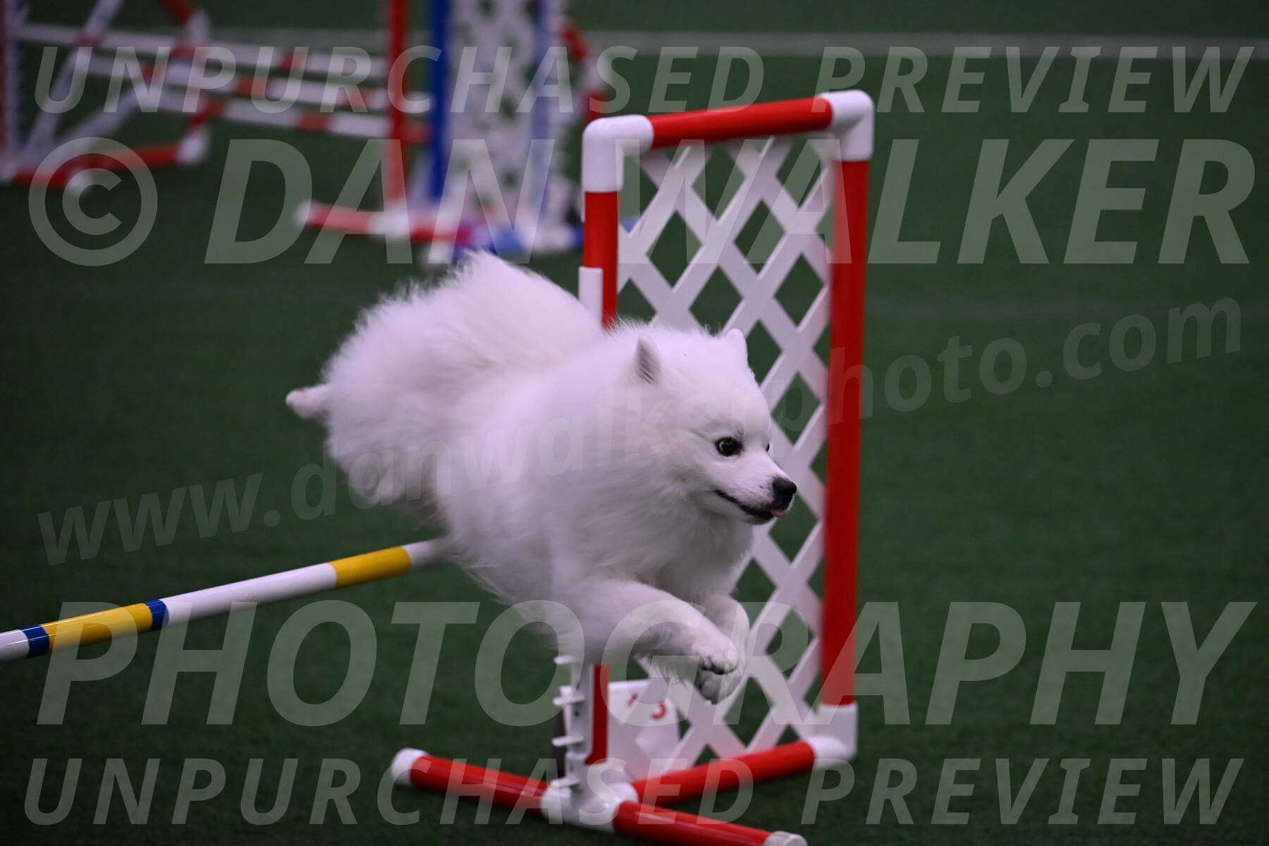 Yeti-Glenn-Rawsky-01416