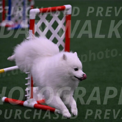 Yeti-Glenn-Rawsky-01417