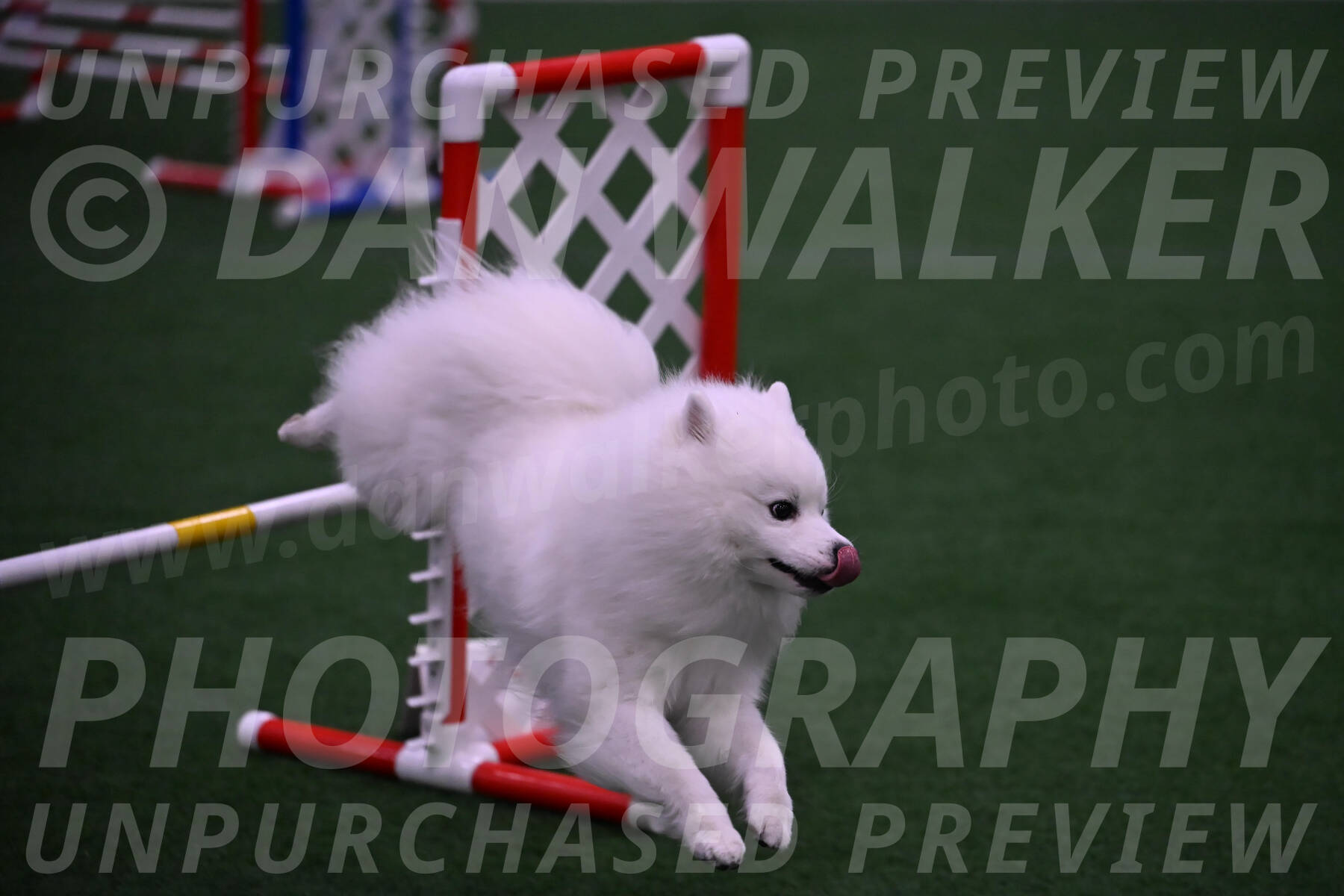 Yeti-Glenn-Rawsky-01417