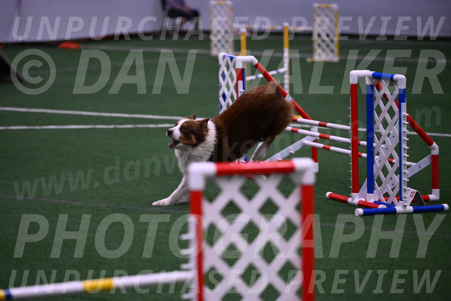 Zigzag-Maria-Duthie-02266
