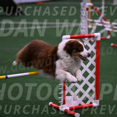 Zigzag-Maria-Duthie-02271