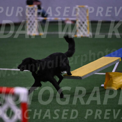 Zinnia-Deborah-Ting-03047