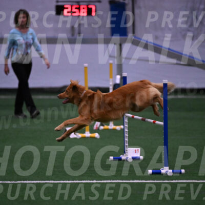 Zippity-Christine-Nemeth-06053