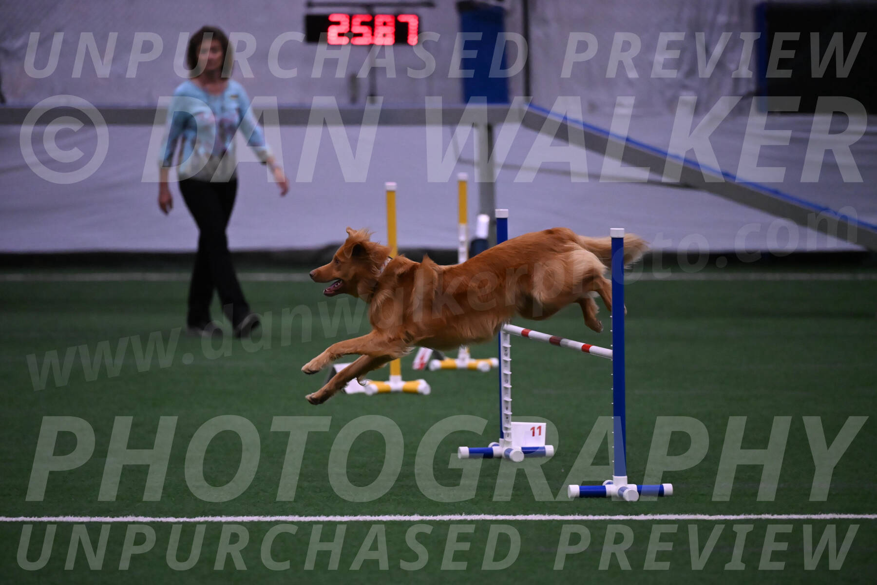 Zippity-Christine-Nemeth-06053